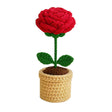 Crochet Pots