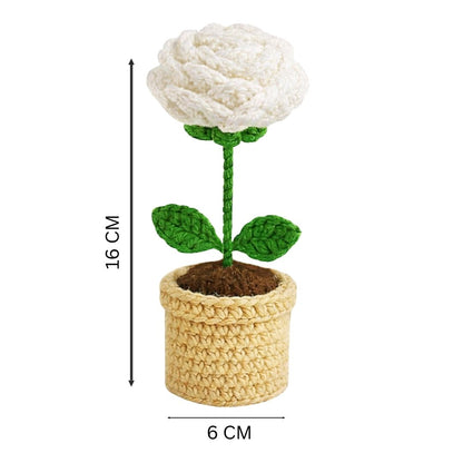 VCR Handmade Crochet White Rose Pot - Pack of 1 - Hand Woven Knitted Artificial White Rose Pot Hand Knitted Flower for office Desk, Table, Car, Bedroom, Wedding & Special Occasions